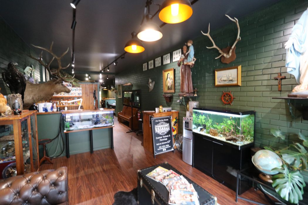 156 Charles Street , LAUNCESTON, TAS, 7250