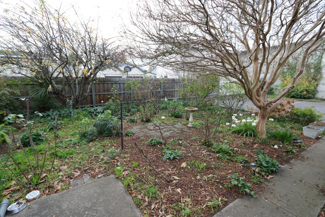 15 Lawrence Street, LAUNCESTON, TAS, 7250
