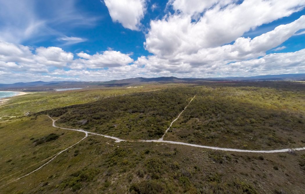 Tasman Highway, ST HELENS, TAS, 7216