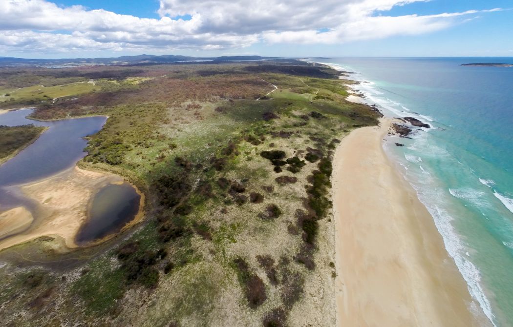Tasman Highway, ST HELENS, TAS, 7216