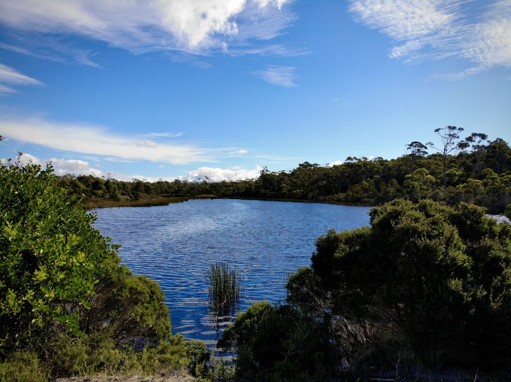 Tasman Highway, ST HELENS, TAS, 7216
