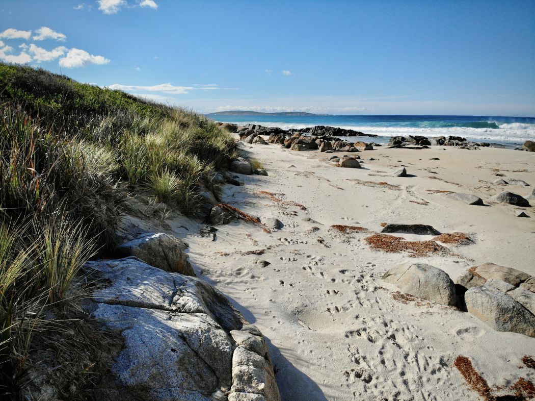 Tasman Highway, ST HELENS, TAS, 7216