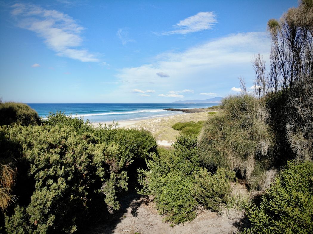 Tasman Highway, ST HELENS, TAS, 7216