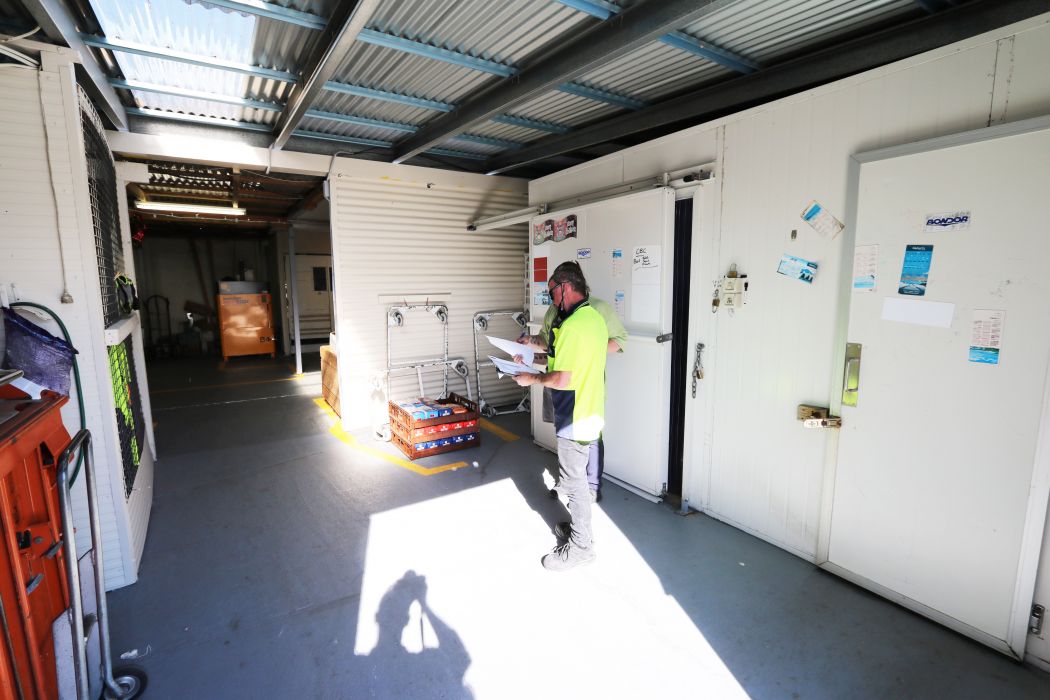 39 Foster Street &/62 Burgess Street, BICHENO, TAS, 7215