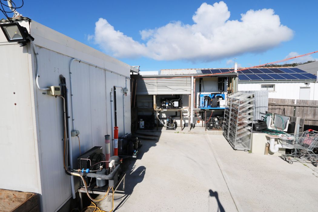 39 Foster Street &/62 Burgess Street, BICHENO, TAS, 7215