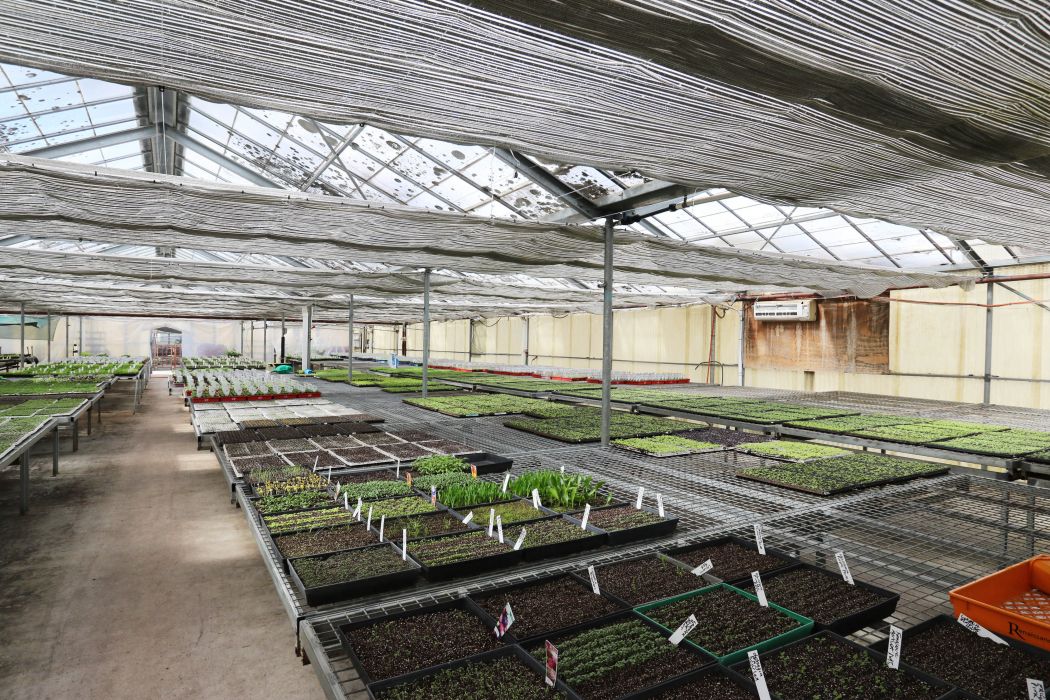 77 Victoria Street, YOUNGTOWN, TAS, 7249