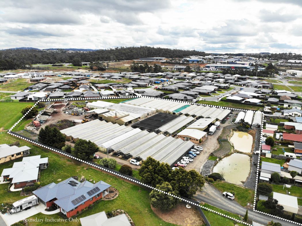 77 Victoria Street, YOUNGTOWN, TAS, 7249