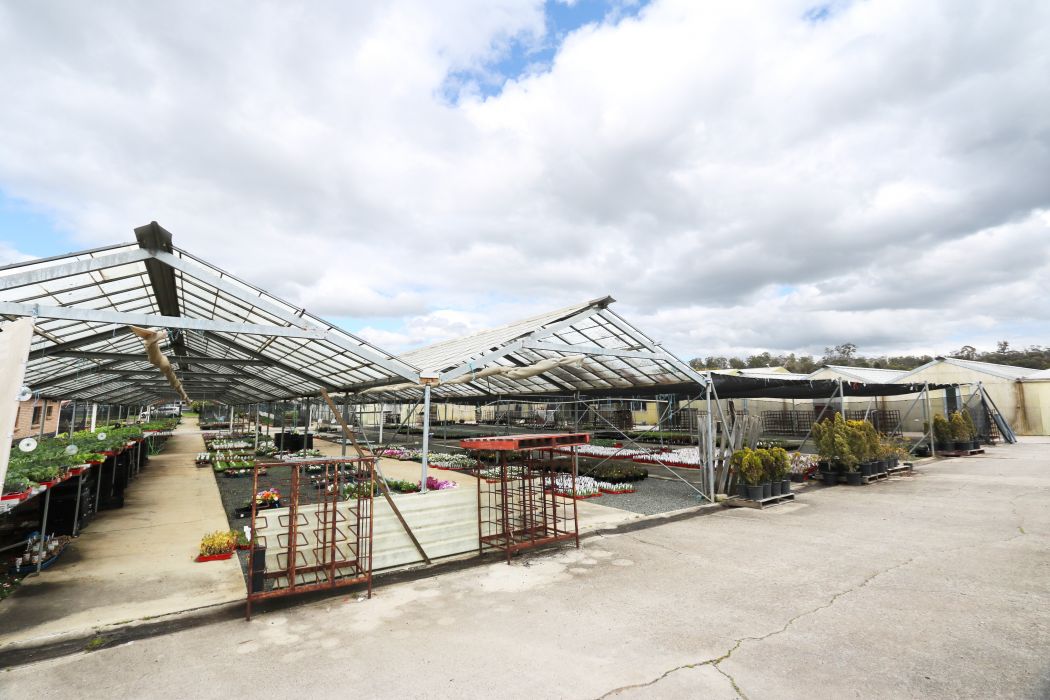 77 Victoria Street, YOUNGTOWN, TAS, 7249
