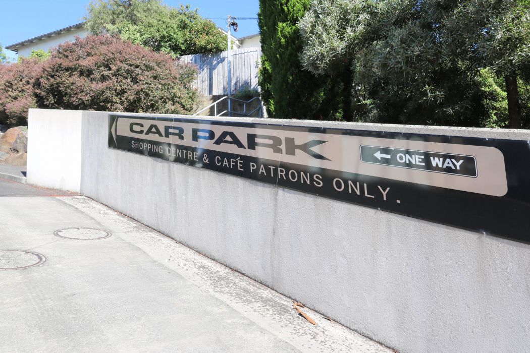 3 Osborne Avenue, LAUNCESTON, TAS, 7250